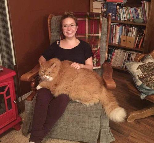 胖猫谭竹事件爆料吃瓜,揭秘娱乐圈背后的惊人真相