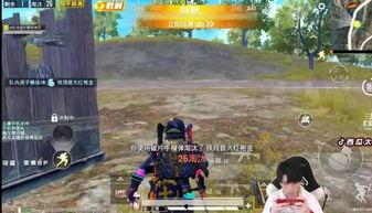 和平精英吃瓜爆料度假岛,揭秘吃瓜爆料背后的秘密