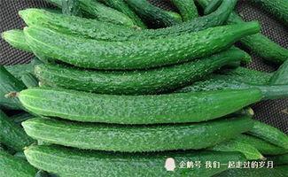 吃瓜最新事件爆料兰陵,吃瓜群众揭秘最新事件内幕