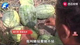 吃瓜最新事件爆料兰陵,吃瓜群众揭秘最新事件内幕