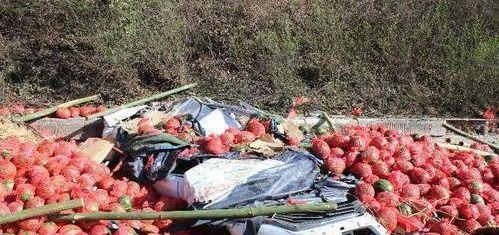 凉山吃瓜爆料事件真相,揭秘背后真相与反思