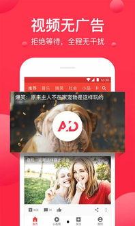 吃瓜新闻爆料视频大全下载,视频大全下载背后的热点追踪